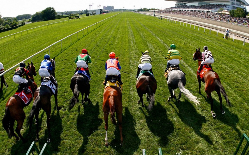 Free Picks of the Day Fatbaldguyracing Horse Racing Picks Horse Prediction