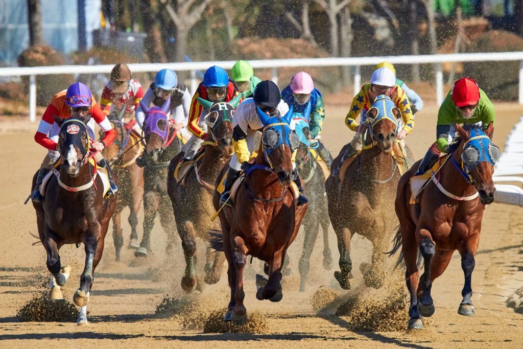 Del Mar picks 2026 at Del Mar Race Course